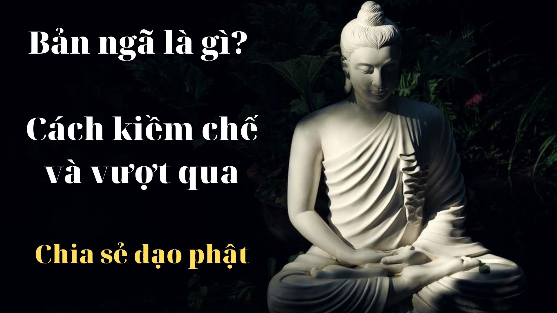 Bản Ngã Nghĩa Là Gì Trong Phật Giáo? Cách Kiềm Chế Và Vượt Qua - Chia Sẻ  Đạo Phật