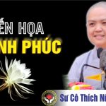 Thích Nữ Hương Nhũ