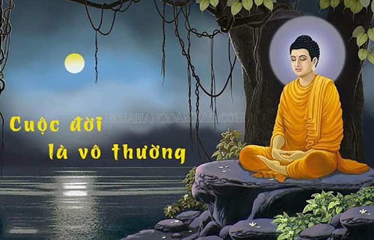 Sinh Lão Bệnh Tử là gì? Nguồn gốc, Ý nghĩa quy luật "Vô Thường" | MỘC THIÊN  AN